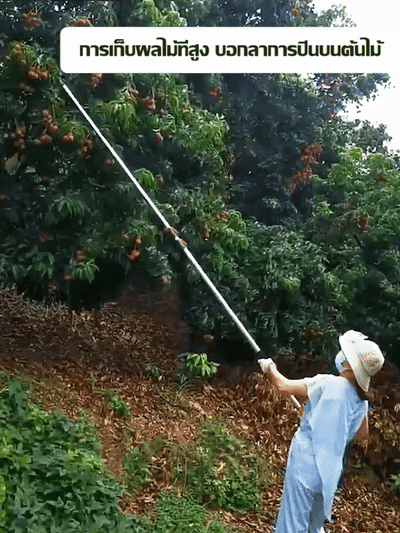 1776532583838161.gif 1776532583838161.gif