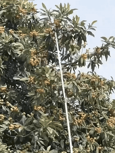 1776532584625178.gif 1776532584625178.gif
