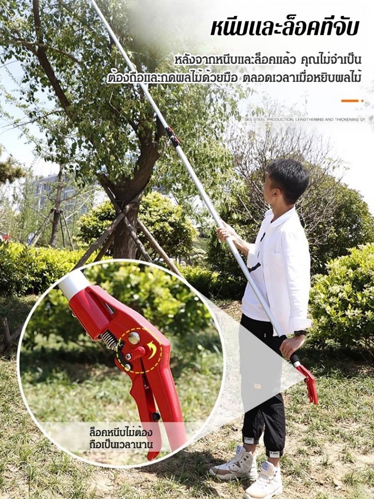 รับประกันของแท้ 100% มีเวลาจำกัด มาก่อนได้ก่อน! รับประกันของแท้ 100% มีเวลาจำกัด มาก่อนได้ก่อน!